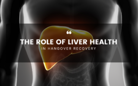 Role Of Liver Health In Hangover Recovery